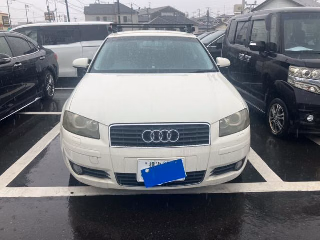 Audi A3, 8PBGU, 8PAXW, 8P8BDBF